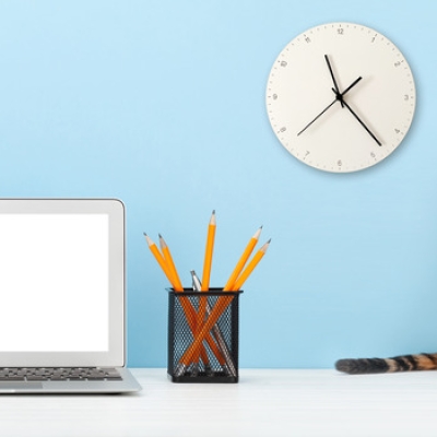 Cloud Based Veterinary Practice Software | IDEXX Veterinary Software